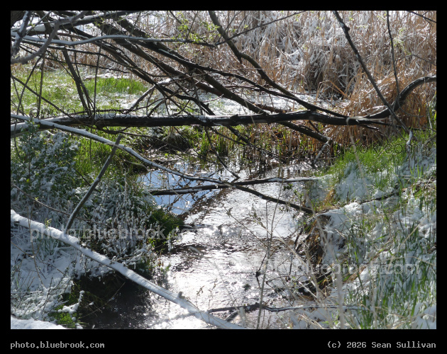 Snow, Grass, Wood and Water - Corvallis MT