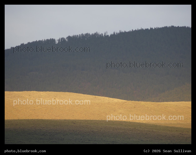 Sunlight on One Hill - Corvallis MT