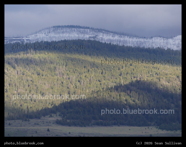 Sunbeam on Green Hills - Corvallis MT