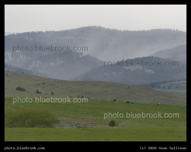 Cloudy Hills beyond Green Pastures - Corvallis MT