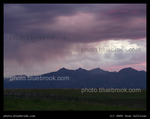 Lavender Clouds - Corvallis MT