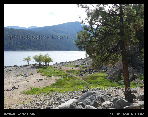 Green Patch - Lake Como, Darby MT