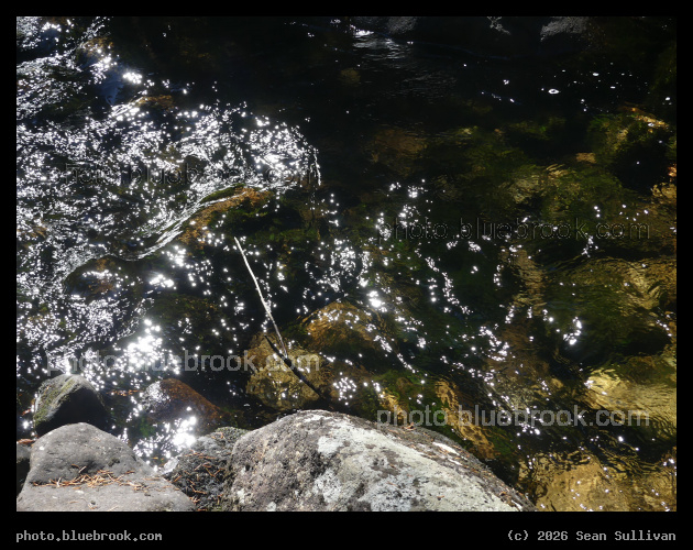 Sunglints and Rocks in Water - Blodgett Creek, Hamilton MT