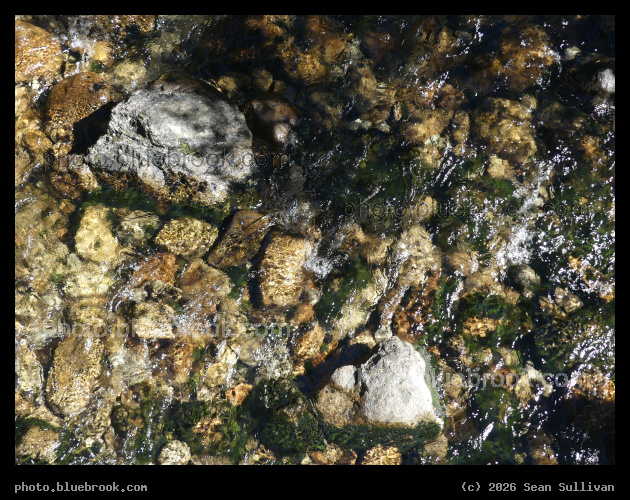 Rocks, Moss, Shadows and Stream - Blodgett Creek, Hamilton MT
