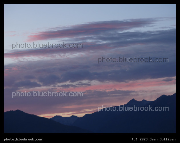 Shades of Purple - Corvallis MT